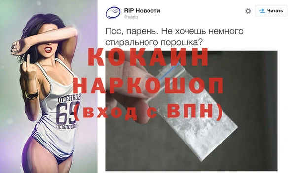мяу мяу мука Бородино