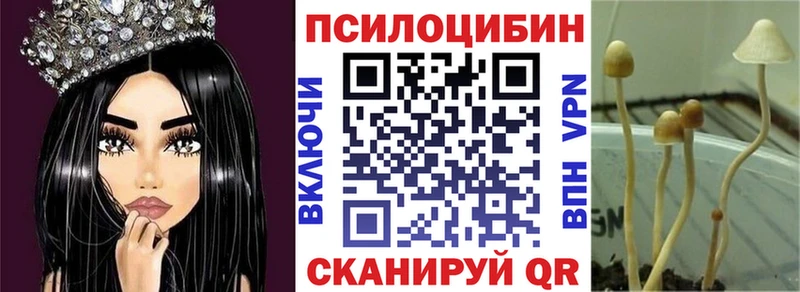 Галлюциногенные грибы Magic Shrooms  Купить  Мончегорск 