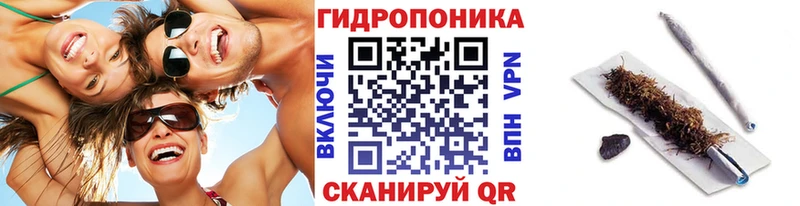 Купить  Мончегорск  Шишки марихуана Amnesia 